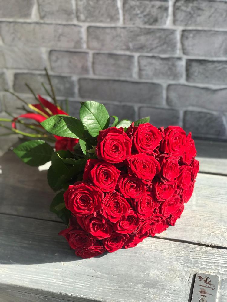 Букет Красные розы Фридом в Михайловске Свердловской области