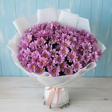 Букет цветов из:  Хризантемы в Михайловске Свердловской области