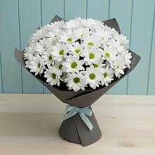 Букет цветов из:  Хризантемы #REPLACE_PRED# Михайловске Свердловской области