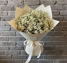 Букет цветов из:  Ромашки в Михайловске Свердловской области