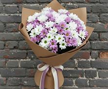 Букет цветов из:  Хризантемы в Михайловске Свердловской области