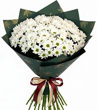 Букет цветов из:  Хризантемы в Михайловске Свердловской области