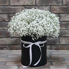 Цветочная композиция из Гипсофила в шляпной коробке #REPLACE_PRED# Михайловске Свердловской области