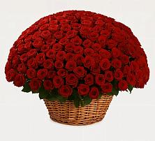 Премиум букет из: Розы в Михайловске Свердловской области