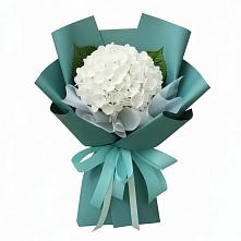 Букет цветов из:  Гортензия #REPLACE_PRED# Михайловске Свердловской области